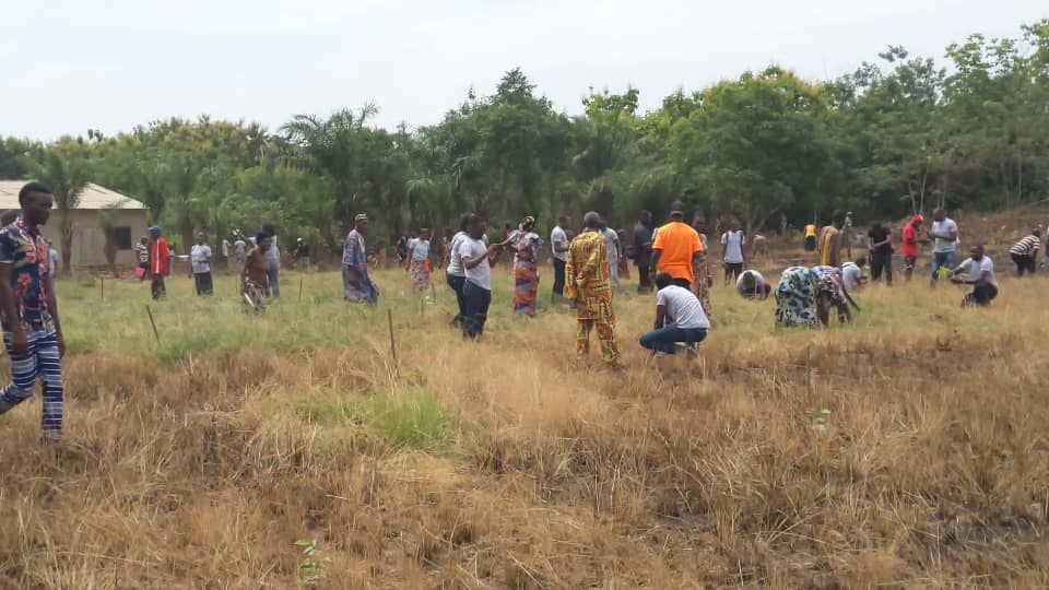 Le reboisement autrement, c’est l’activité menée par l’ONG AGBO-ZEGUE le 1er Juin 2022, journée nationale de l’arbre à Adangbé (préfecture du Zio), localité située à environ 50 km au Nord-Est de Lomé la capitale togolaise.